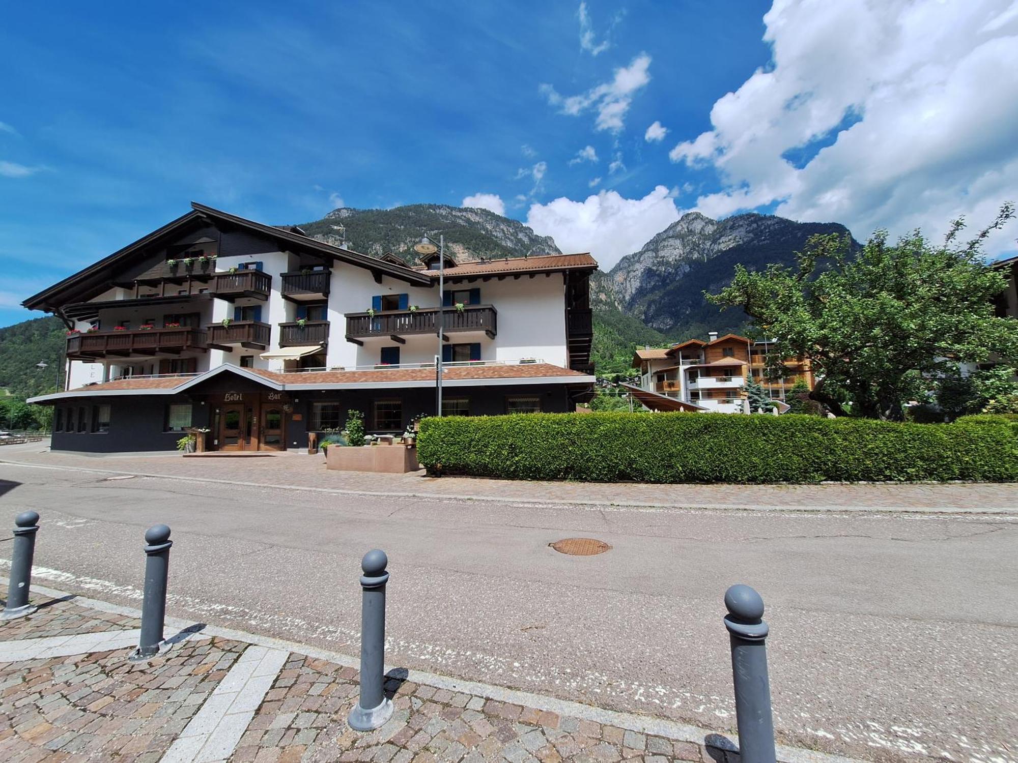 Hotel Nele Ziano Di Fiemme Bagian luar foto
